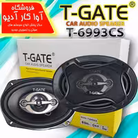 بلندگو بیضی تی گیت T-GATE  T-6993CS