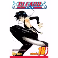 Bleach v18