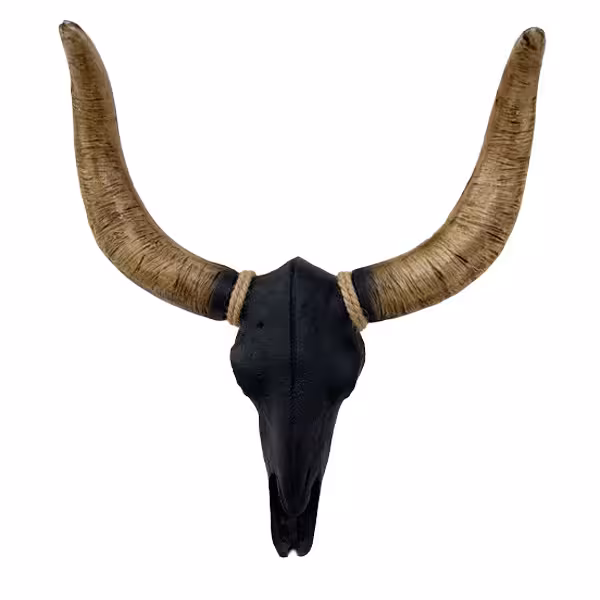 مجسمه طرح جمجمه گاومیش کد G20