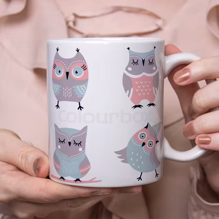 ماگ طرح جغد کد 213