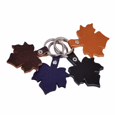 جاکلیدی مدل BR-206