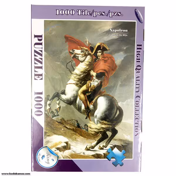 پازل 1000 تکه رینگ