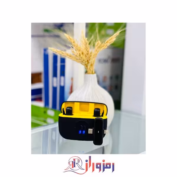 میکروفون دو کاربره کیس دار مدل K30