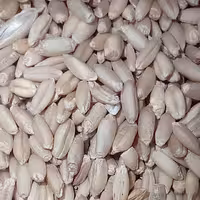 گندم با پوست (مرغی) بسته بندی 1 کیلو گرمی شالیزار صادق 