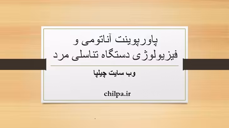 پاورپوینت آناتومی و فیزیولوژی دستگاه تناسلی مرد - چیلپا