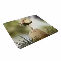 پد موس - پد ماوس  طرح جوجه مدل MP 0127