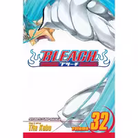 Bleach v32
