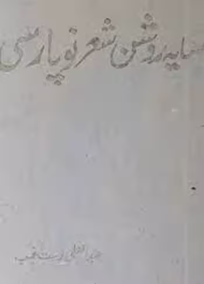 سایه روشن شعر نو پارسی