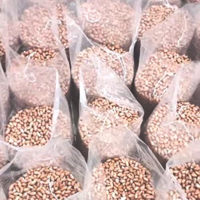 بادام زمینی ریز 2کیلویی خوش خوراک تازه ارسال رایگان آستانه اشرفیه