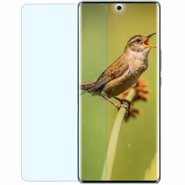 گلس آنر 60 Honor