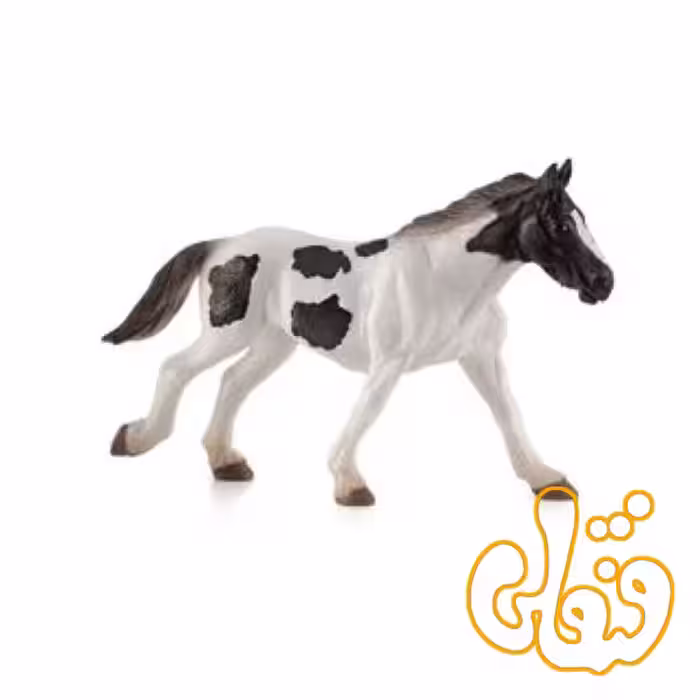 اسب تینکر جوان Tinker Yearling 387219