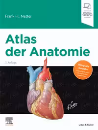 خرید و دانلود نسخه کامل کتاب Atlas der Anatomie Deutsche Übersetzung von Christian M. Hammer by Frank H. Netter BOOKMARKED.pdf