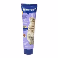 خمیر مالت گربه وینستون حاوی گیاه پسیلیوم وزن 100 گرم