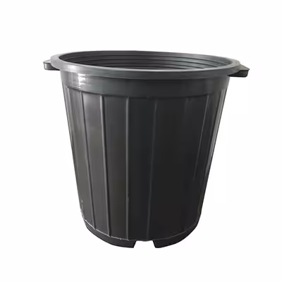 گلدان مشکی سطل 10