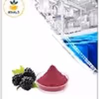 عصاره شاه توت خشک (پودری)