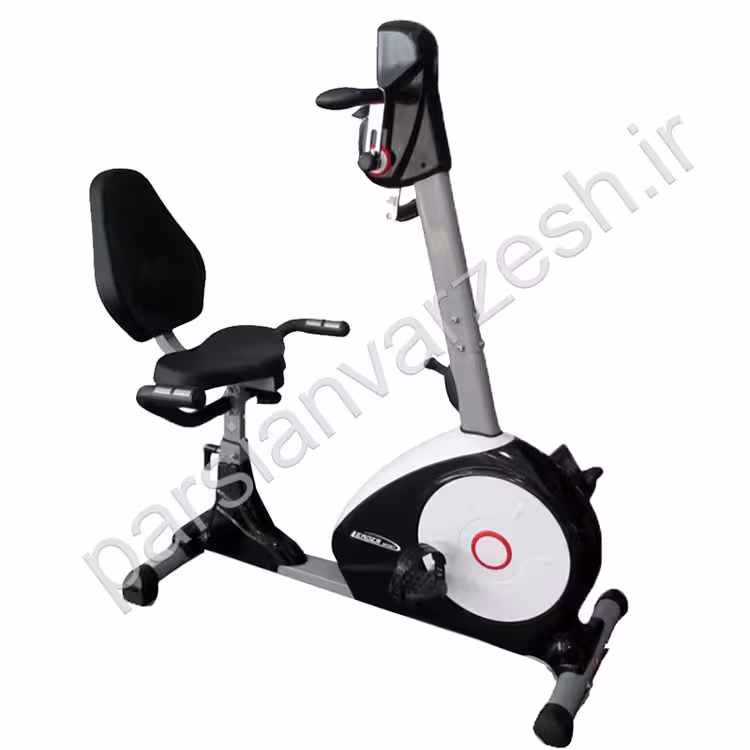 دوچرخه فیزیوتراپی مبله دوکاره لیدر اسپرت مدل 8602R
