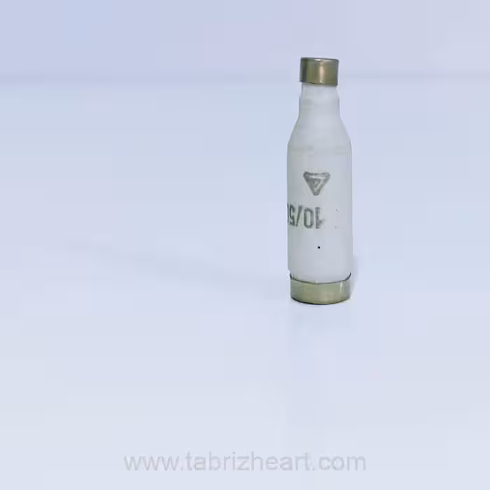 فیوز فشنگی | Cartridge fuse 10A 500V