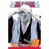 Bleach v20
