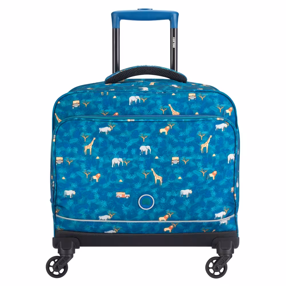 کیف مدرسه ای دلسی چرخ دار