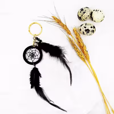 جاکلیدی طرح دریم کچر کد M5070