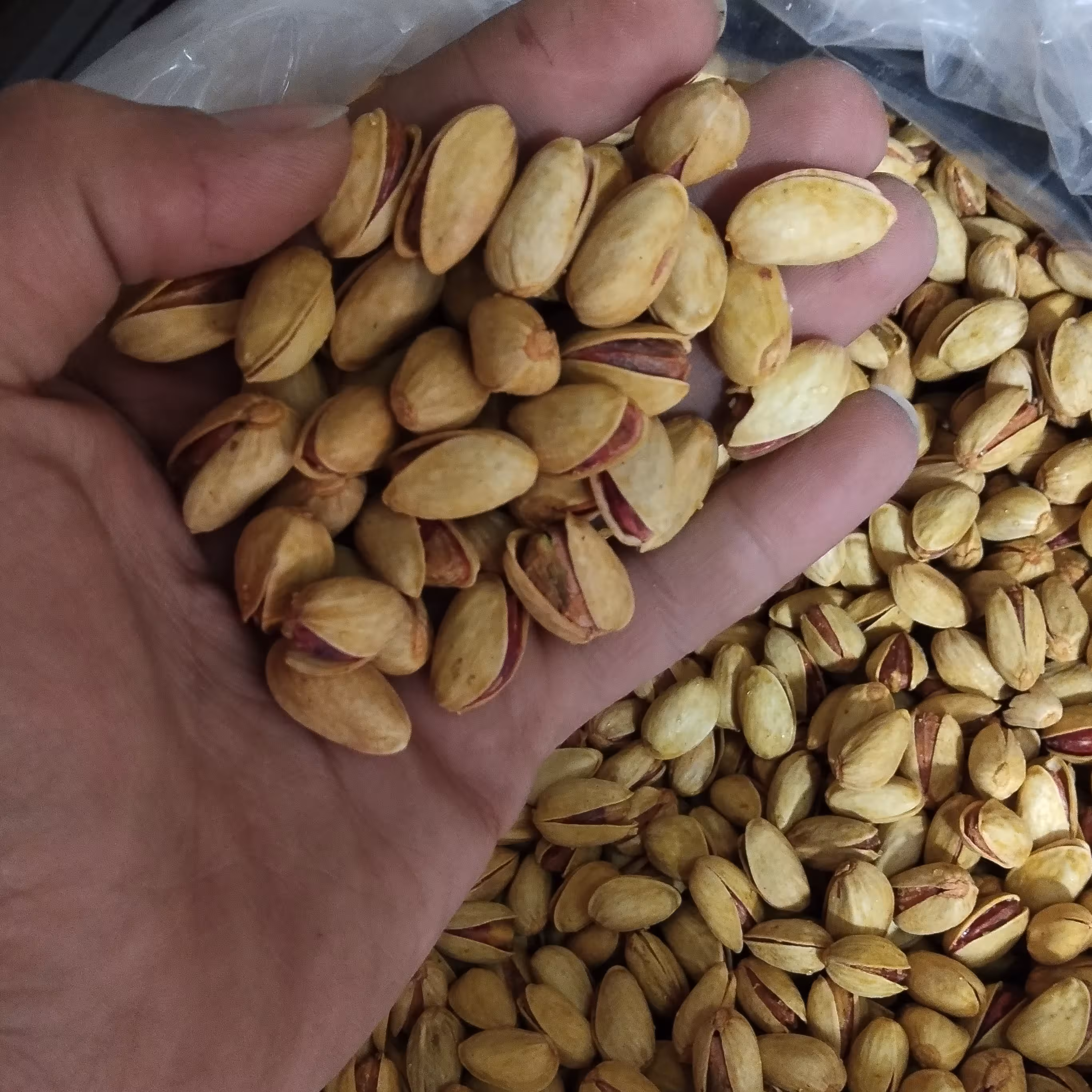 پسته احمد آقایی تفت زعفران 