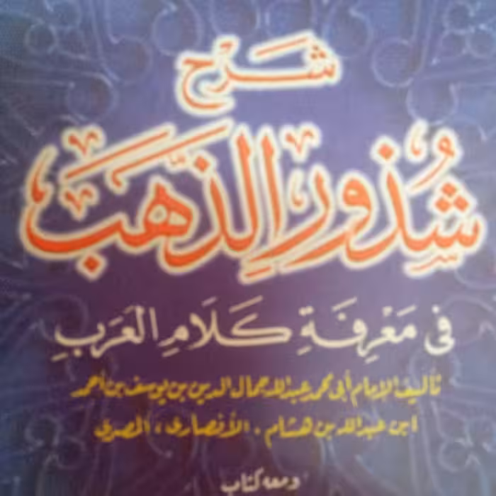 شرح شذور الذهب