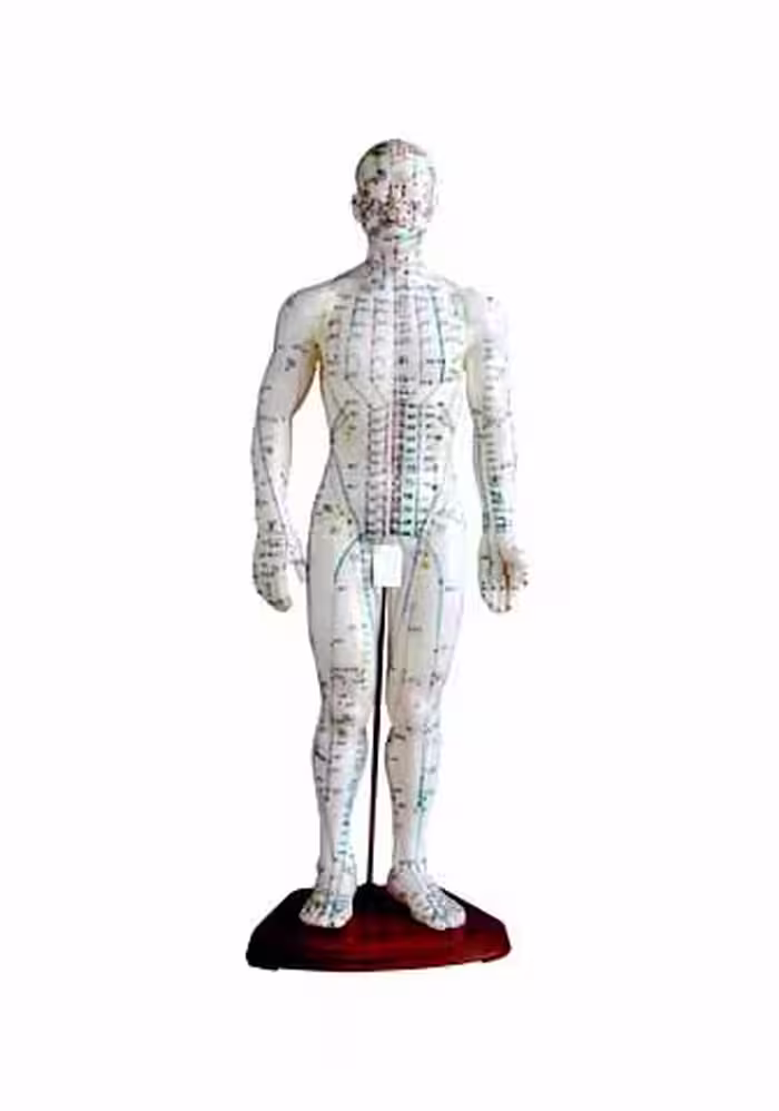مولاژ طب سوزنی بدن