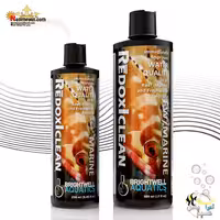 بهبود دهنده سریع کیفیت تمام آب ها ریدوکس کلین برایت ول