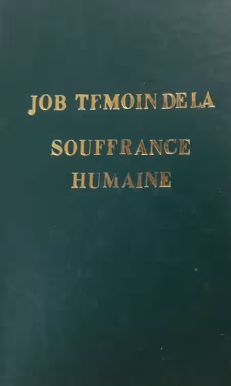 job, temoin de la souffrance humaine