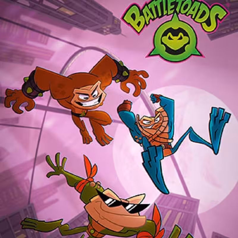 بازی کامپیوتری  Battletoads