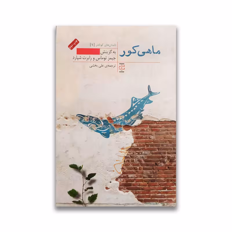کتاب ماهی کور نشر پله