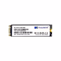 اس اس دی اینترنال تویین موس M.2 SATA ظرفیت 1 ترابایت