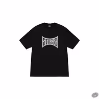 تیشرت طرح STUSSY از کالکشن Champion