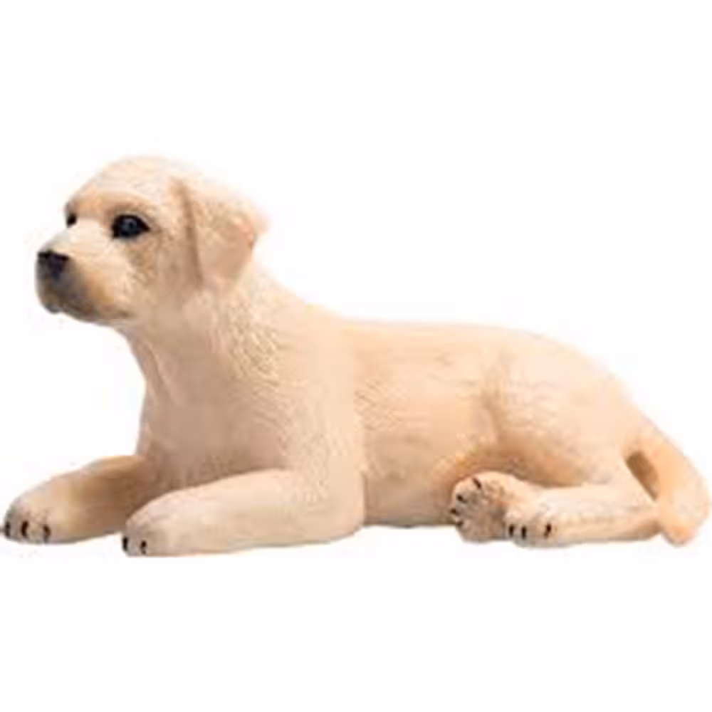قیمت و خرید فیگور توله سگ لابرادور Mojo Labrador Puppy