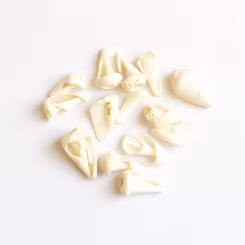 صدف طبیعی مخروطی بسته 35 عددی shell 3002