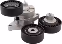 هرزگرد تسمه دینام دیگنیتی