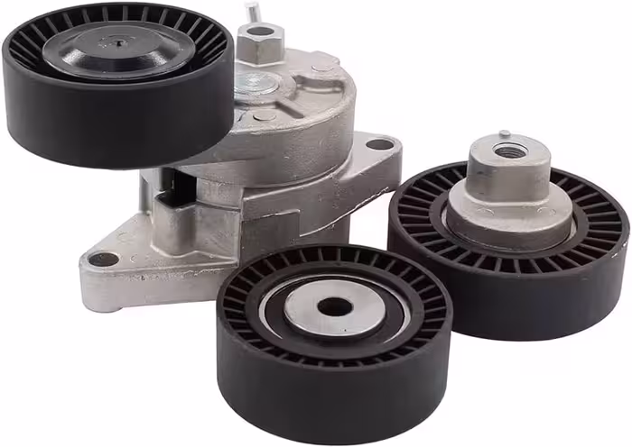 هرزگرد تسمه دینام دیگنیتی