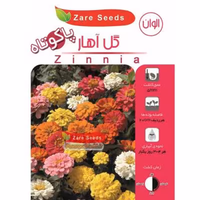 بذر گل آهار پا کوتاه