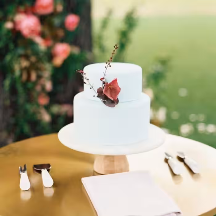 قالب کیک به گز مدل گرد لبه کوتاه مجموعه 10 عددی