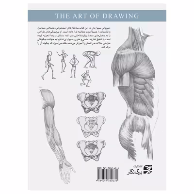 کتاب هنر طراحی - درک فرم و ساختار انسان اثر جیووانی سیواردی انتشارات برگ نگار