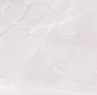 سرامیک کف 30×30 پلپیس مات برند آسیا