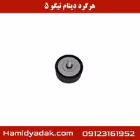 هرز گرد دینام تیگو 5