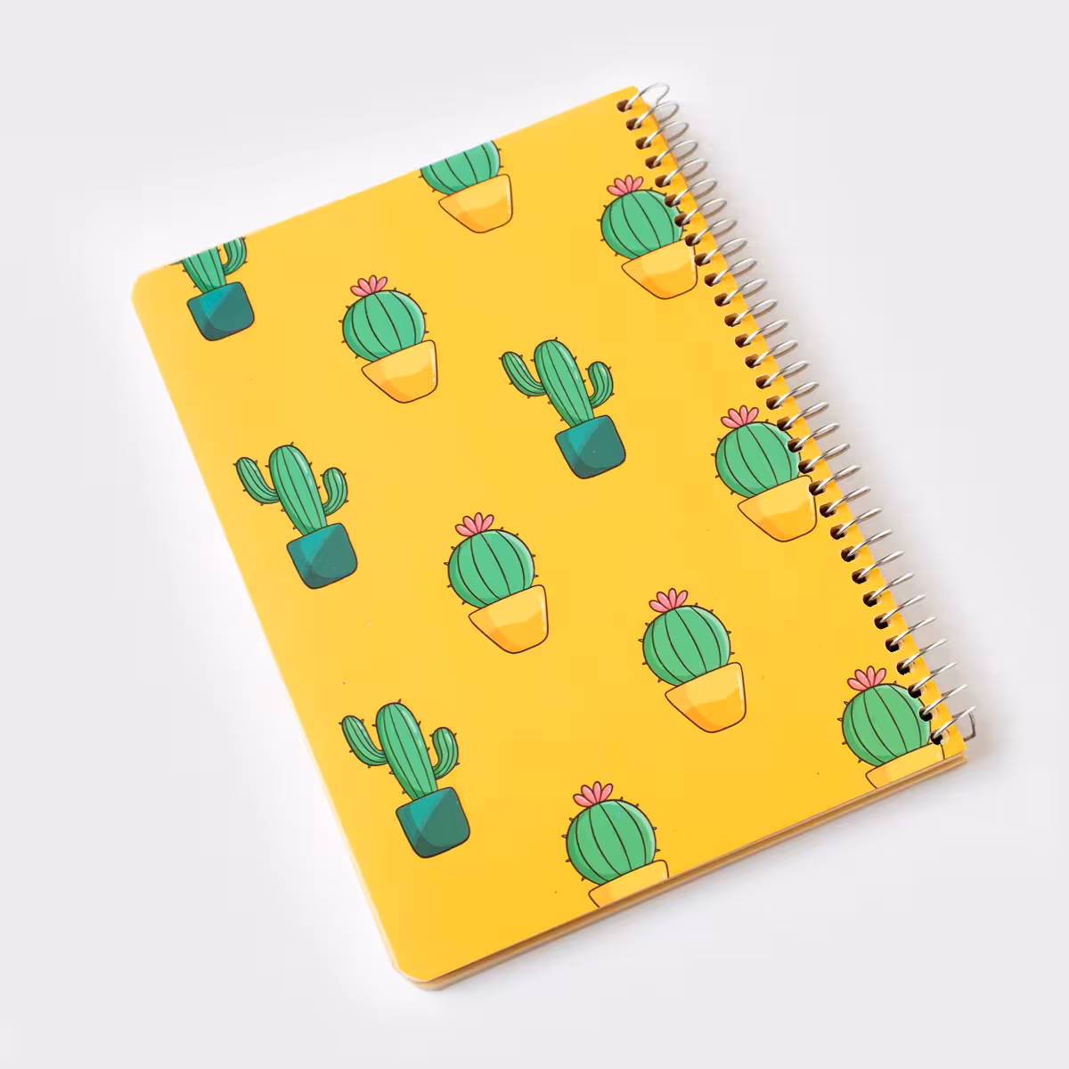 پلنر روزانه کاکتوس سویل (SEVIL)