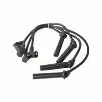 وایر شمع نیسان انژکتور بتا سرآمد B.I.G