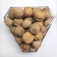 گردو پوست کاغذی امسالی ایرانی درجه یک(1 کیلویی)