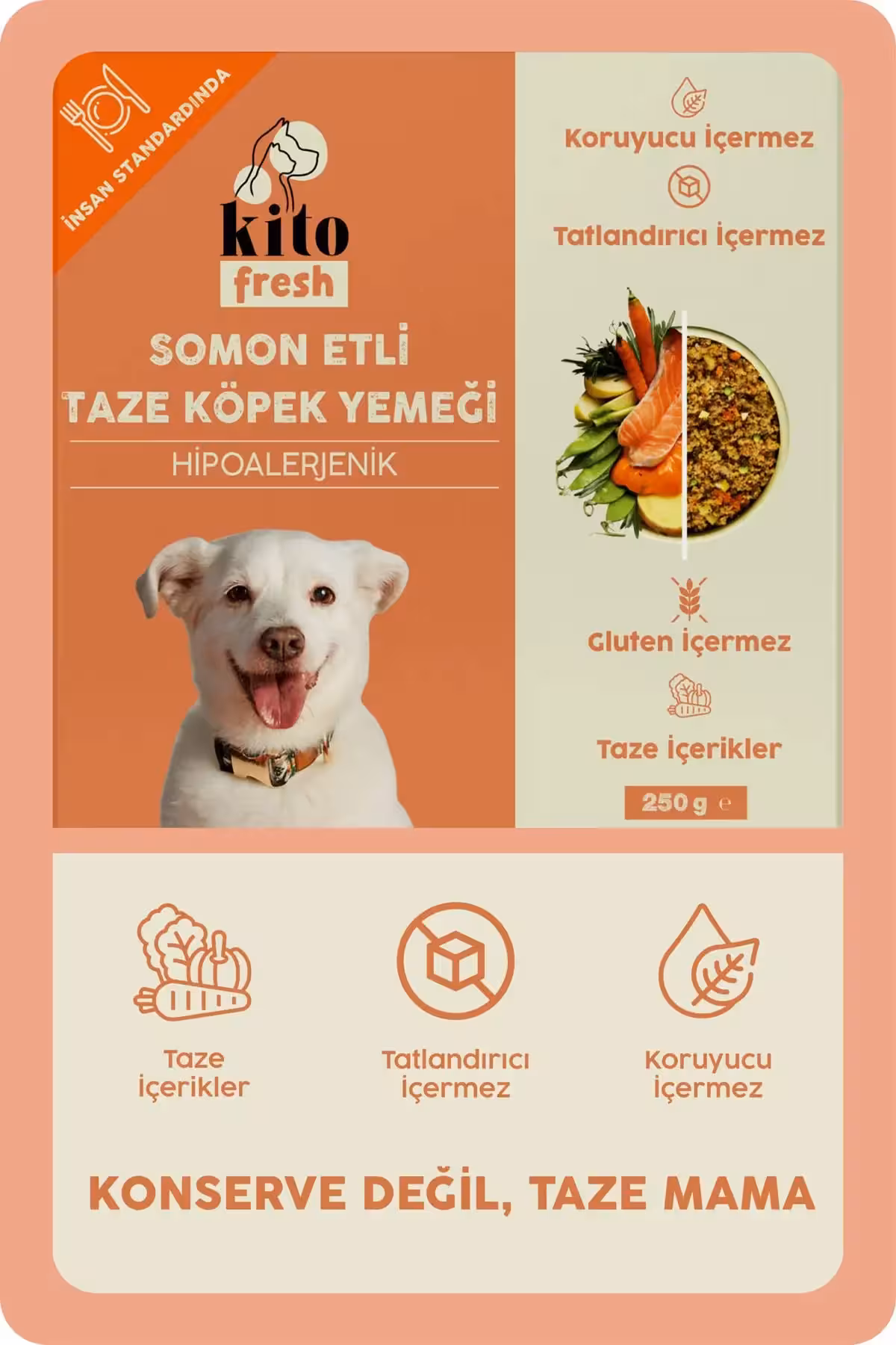 غذای تازه ماهی سالمون مخصوص سگ 250 گرم (با محتوای 100٪ تازه) - 8694