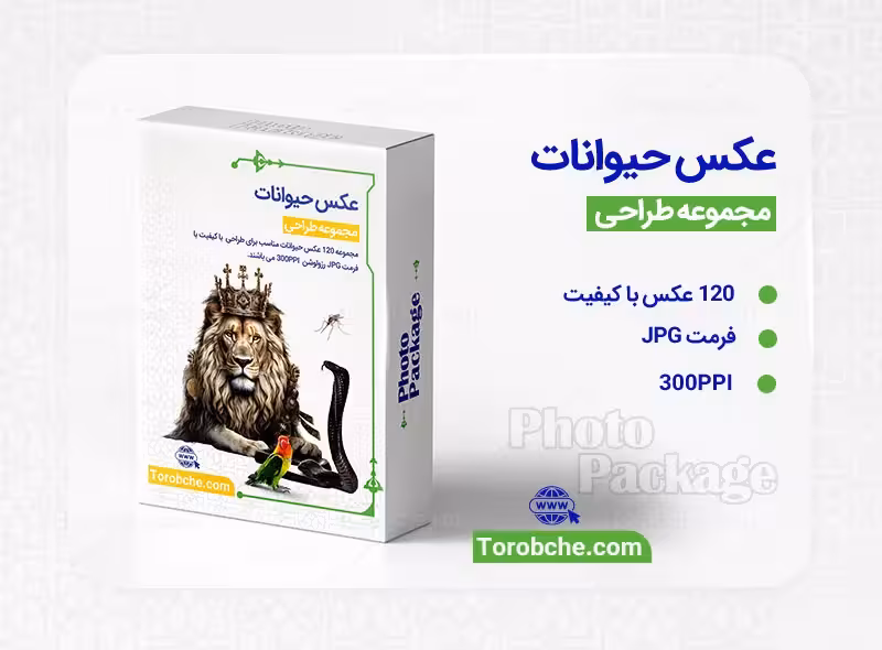 مجموعه 120 عکس حیوانات با کیفیت بالا | سری 2 | گرافیک با طعم تربچه