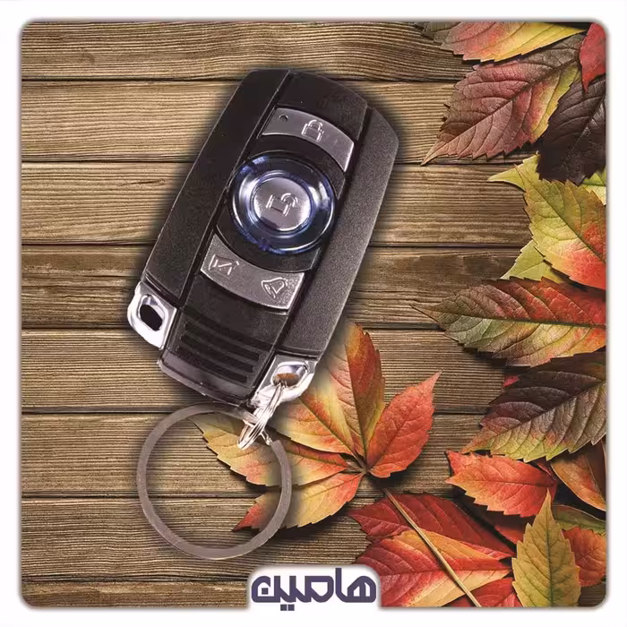 ریموت سیلورین