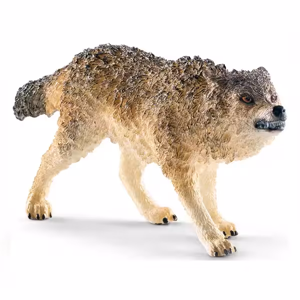 گرگ وحشی اشلایش Schleich
