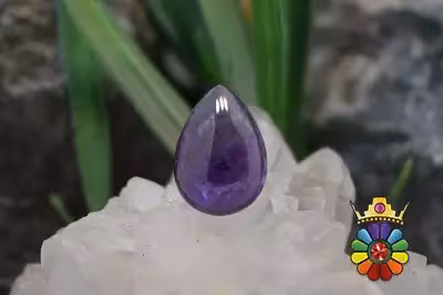 امتیست دامله(کاپوشی)